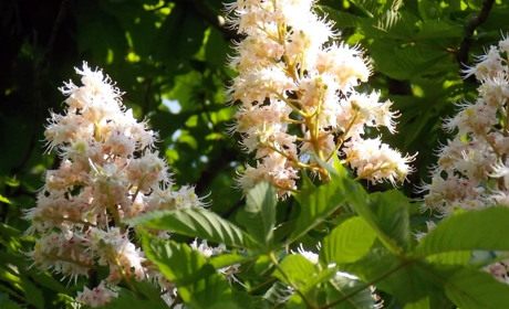 30 років Незалежності. Первомайськ: історія, люди, події, цифри