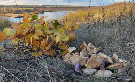 В об'єктиві: Первомайськ і не тільки