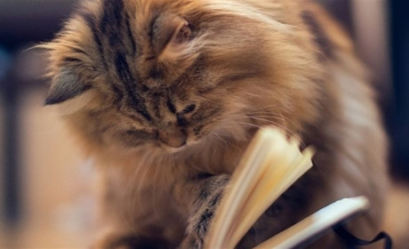 Добірки Кавуна: книжки на будь-який смак