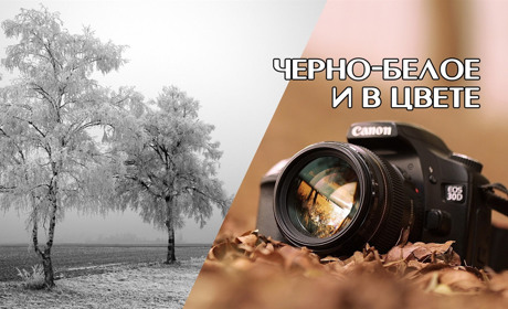 Как сделать шедевр