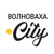 Волноваха.City