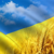 Марина Федяніна