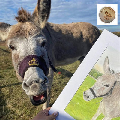 Зелений Гай