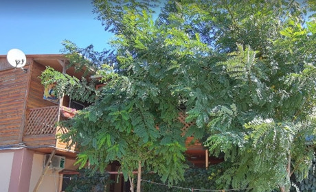 Гостевой дом "Флинт"