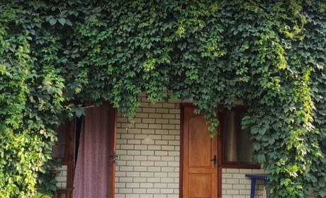 База отдыха «Статус»