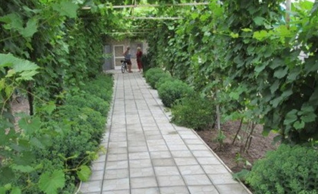 Гостевой дом "Алекс"