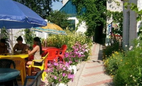 Гостевой дом "Елки-палки"