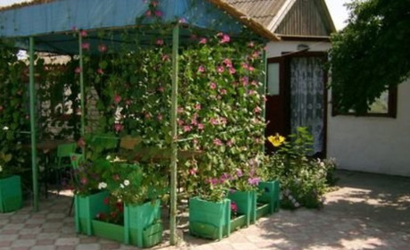 Частное домовладение "Вена"