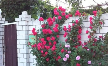 Частное домовладение "Отдыхайка"