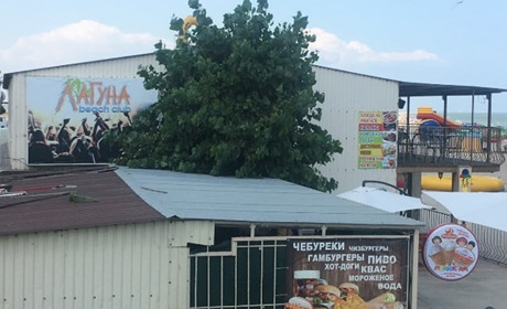 Кафе "Лагуна"