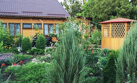 База отдыха «Анатоль»