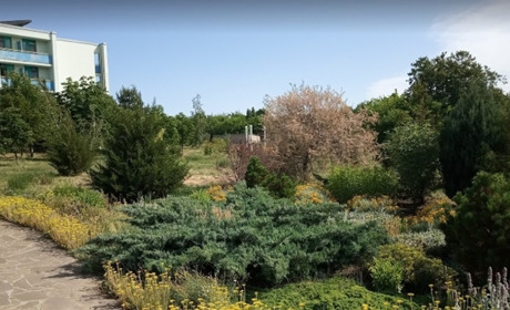 База отдыха «Орбита»