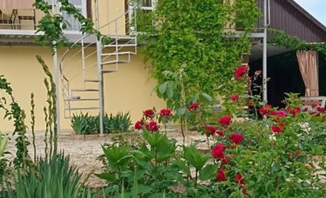 Гостевой дом Citrus