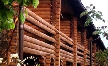 Мини-отель "Чайка"