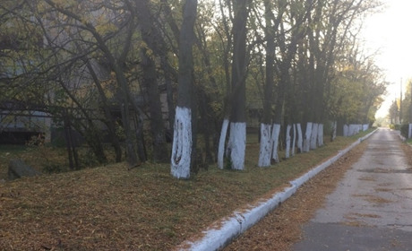 Пансионат "Автодорожник"