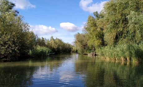  Дунайский биосферный заповедник