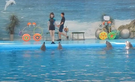 Дельфинарий "Немо"