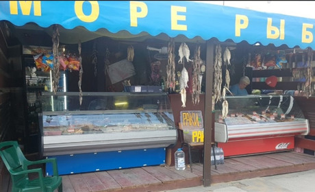 Бар "Море рыбы"