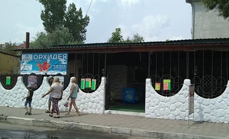 Кафе "Орхидея"