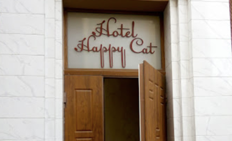 Мини-гостиница Happy Cat