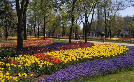Парк Радуга (Веселка)