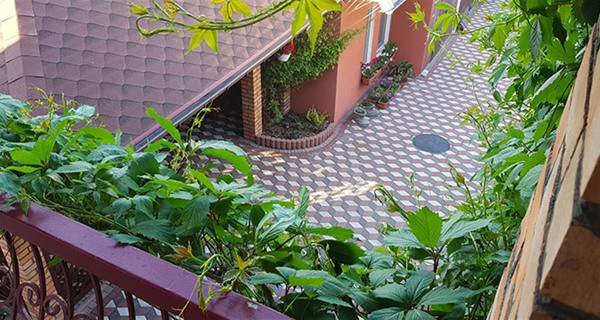 Гостевой дом Red House