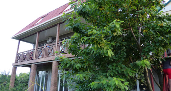 Lovely Villa Park Otel