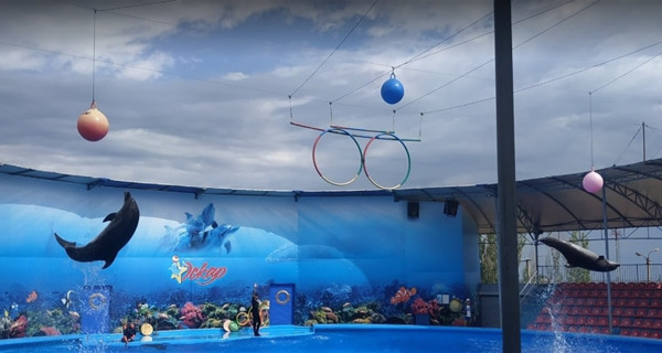 Дельфинарий "Оскар"