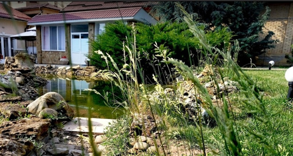 Гостевой дом Patrick