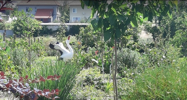 Апартаменты "Два дельфина"