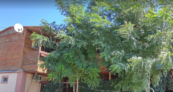 Гостевой дом "Флинт"