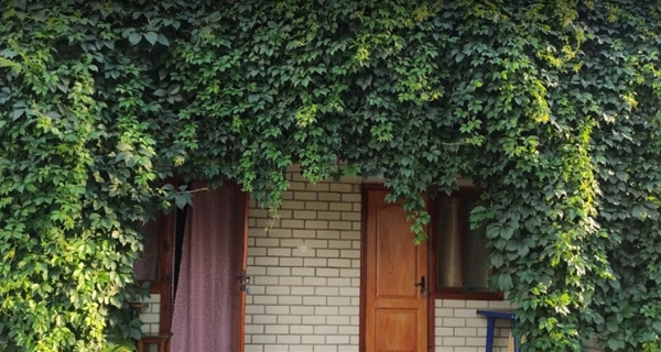 База отдыха «Статус»