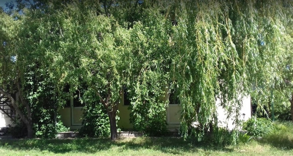 База отдыха "Отдых у моря"