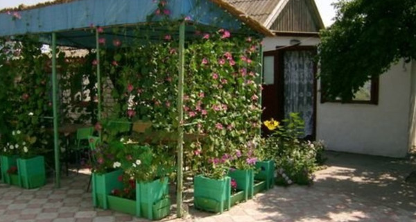 Частное домовладение "Вена"