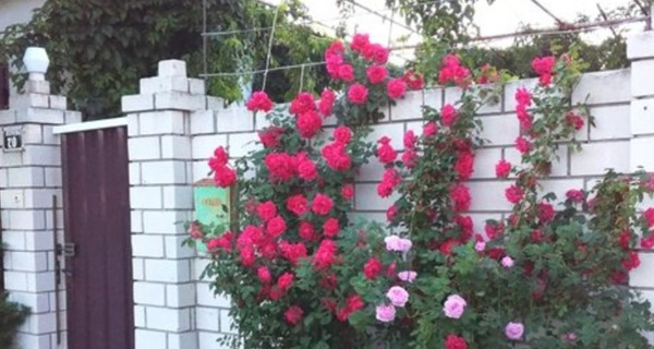 Частное домовладение "Отдыхайка"