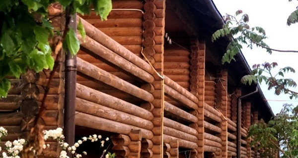 Мини-отель "Чайка"