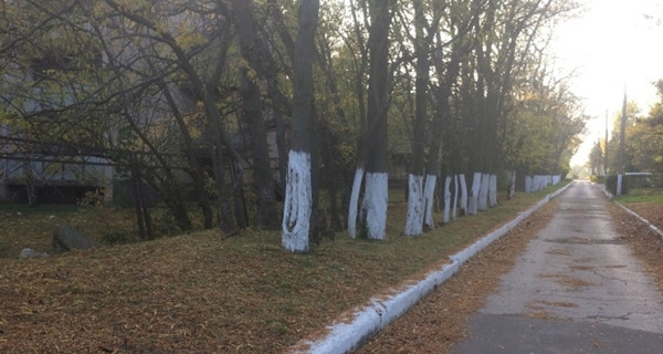 Пансионат "Автодорожник"