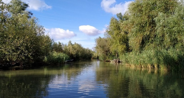  Дунайский биосферный заповедник