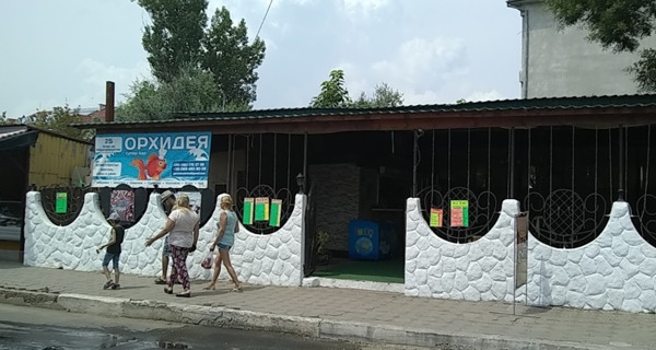 Кафе "Орхидея"