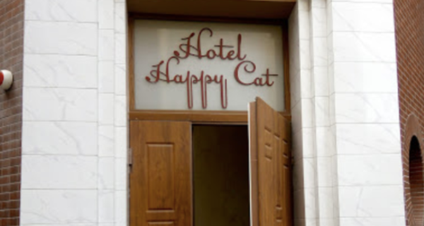 Мини-гостиница Happy Cat
