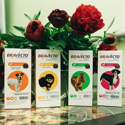 Bravecto (Бравекто) - Протипаразитарні жувальні таблетки від бліх і кліщів для собак