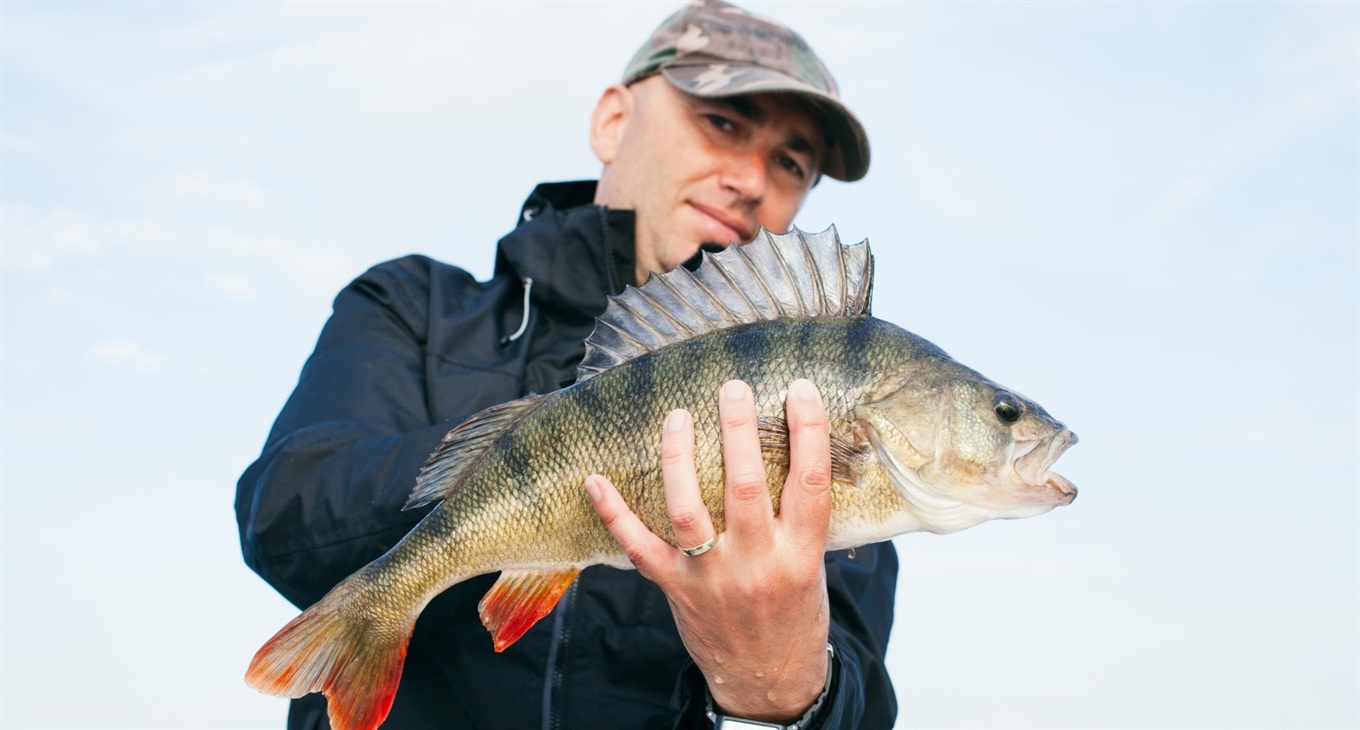 Фотоконкурс «Кльова рибалка»:  похизуйтесь своїм уловом