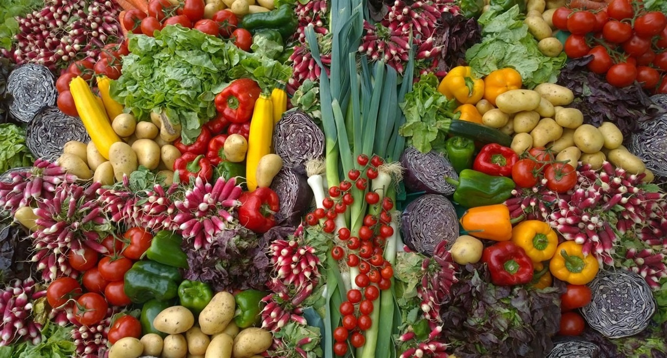 Фотоконкурс "Ось який зібрали ми врожай" : поділіться яскравими світлинами та отримайте подарунки