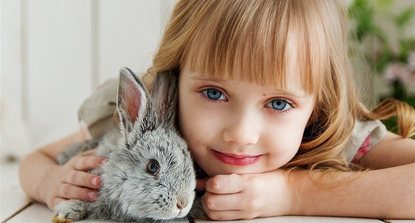 Фотоконкурс для домашніх улюбленців «Вусаті та хвостаті»: виграй сертифікат від зоомагазину «У добрі руки»