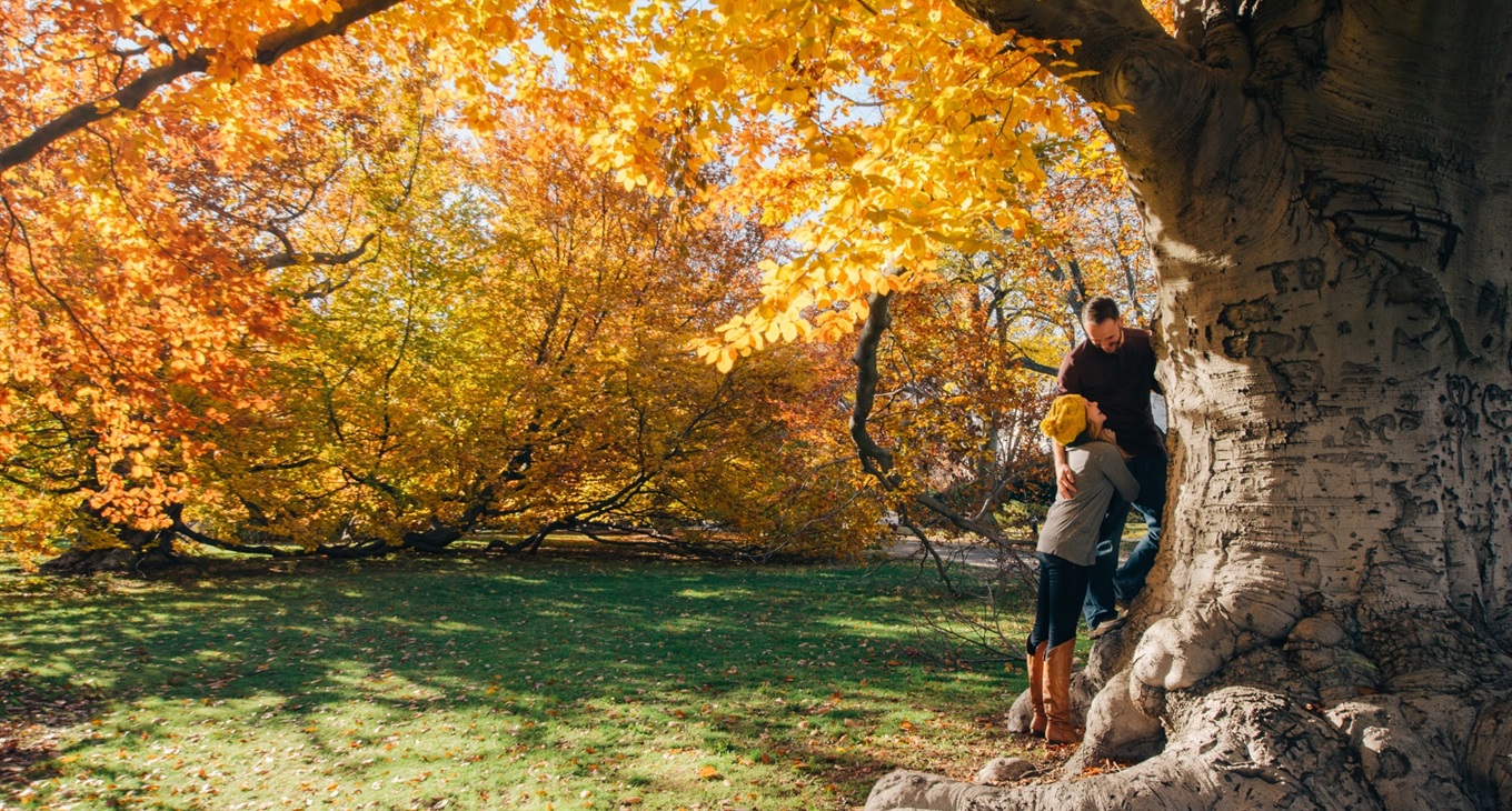 «Найкраща осіння фотосесія»