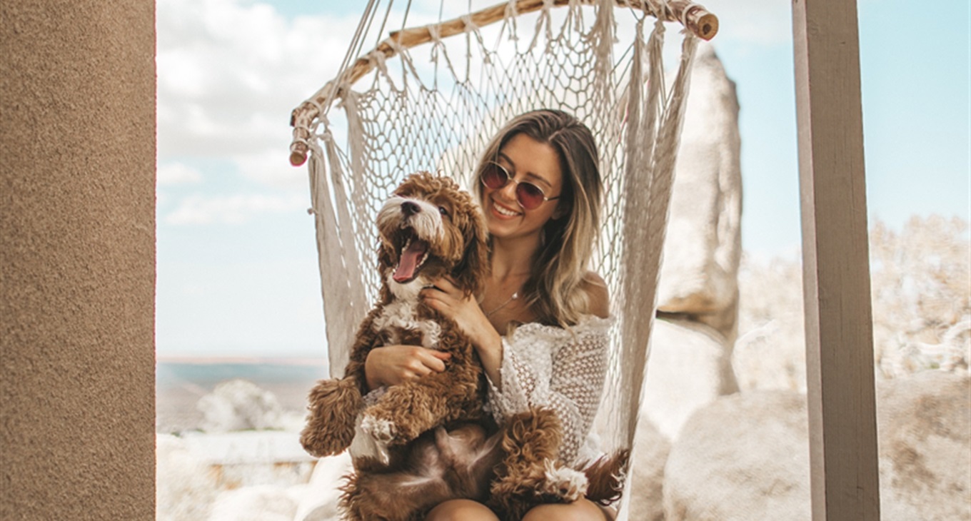 Фотоконкурс «Мій домашній улюбленець»: вигравайте круті подарунки для ваших тваринок