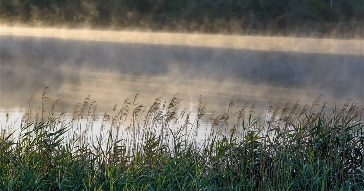 Голоси Дністра: конкурс на найкраще фото, що було зроблено на річці