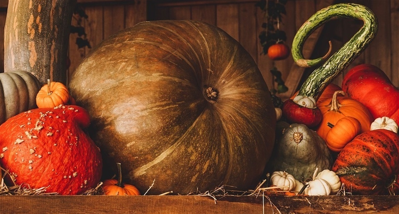 Фотоконкурс «Ходить гарбуз по городу». Даруємо призи за світлини врожаю
