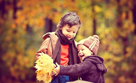 Конкурс "Осень в объективе": открыто голосование