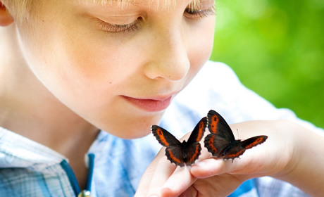 Фотоконкурс "Дети лета"